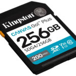 Kingston Canvas Go! SDXC 256GB Class 10 U3 V30 UHS-I
